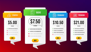 Pricing plans: Starter, Basic, Standard, Premium.