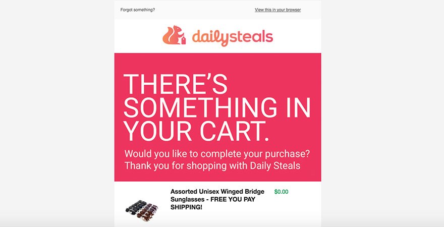 Abandoned Cart Daily Steals