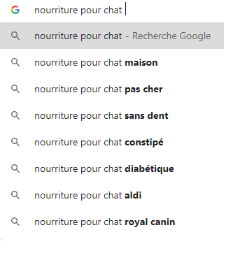 Suggestions Recherches Google