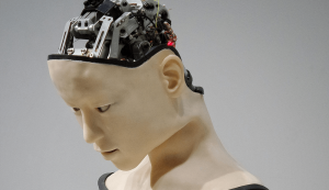 What Comes After Ai