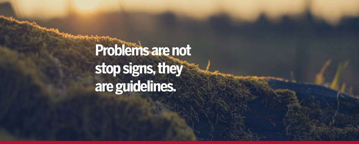 The Problem with company Manifesto