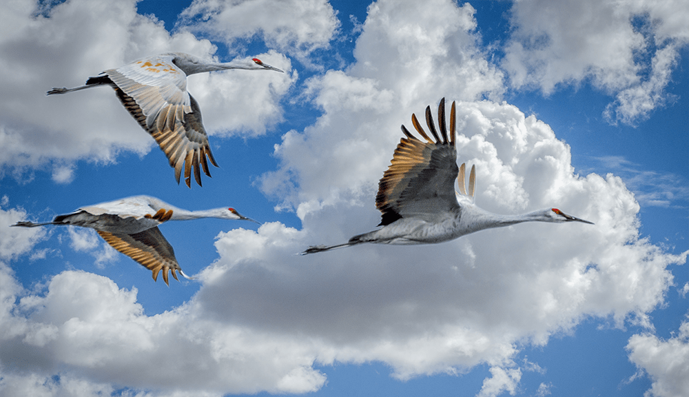 Cloud Migration Best Practices