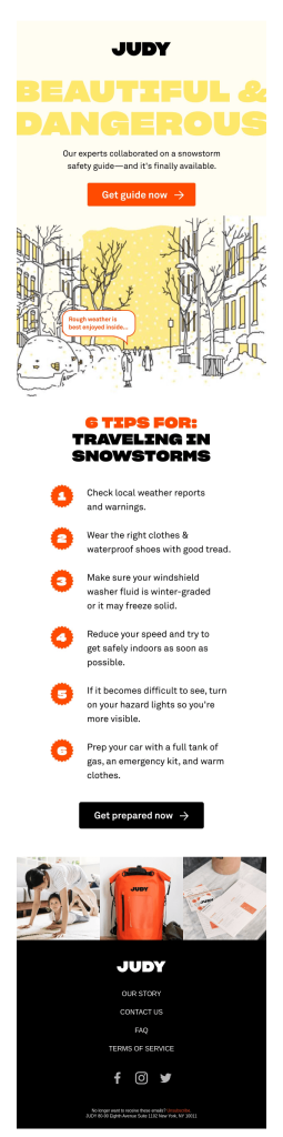 complete snowstorm guide email tips 255x1024 1