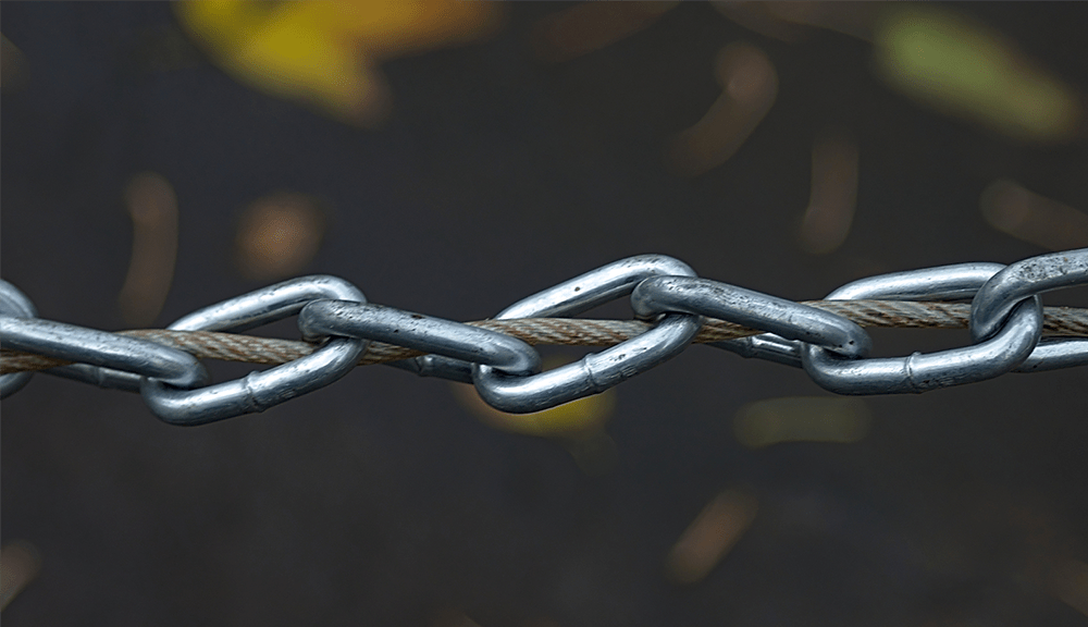 Link Building Trends Seo