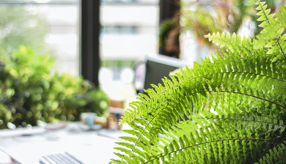 Measure How Green Your Are