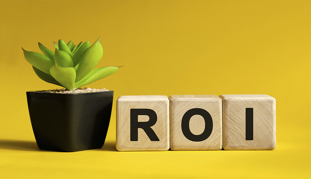 Social Media Roi