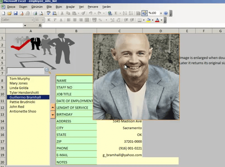Using Excel As Datatabase