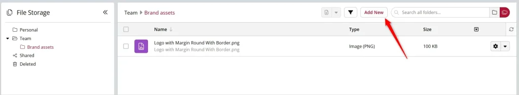 Interface de stockage de fichiers avec logo d'équipe.