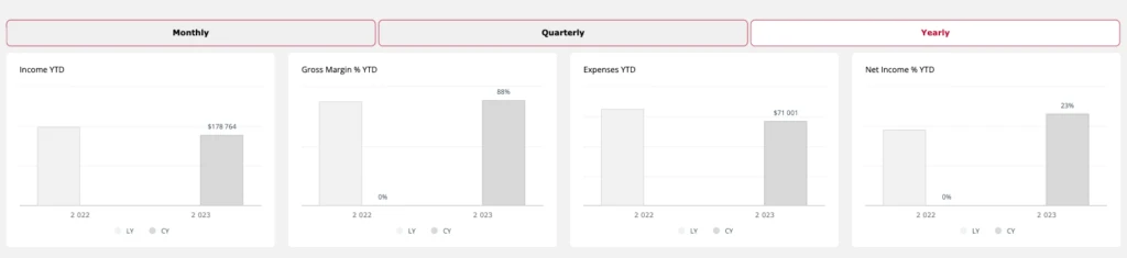 ytd in reporting example 1024x235 1